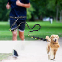 Pet Supplies: everything for all your furry friends.